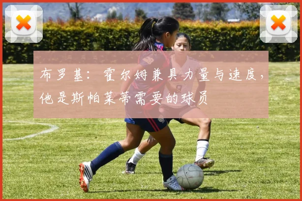 布罗基：霍尔姆兼具力量与速度，他是斯帕莱蒂需要的球员